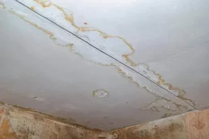 roof leakage treatment