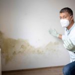 Best Tips for a Mould-free Home: Unlock a Healthier Living Space