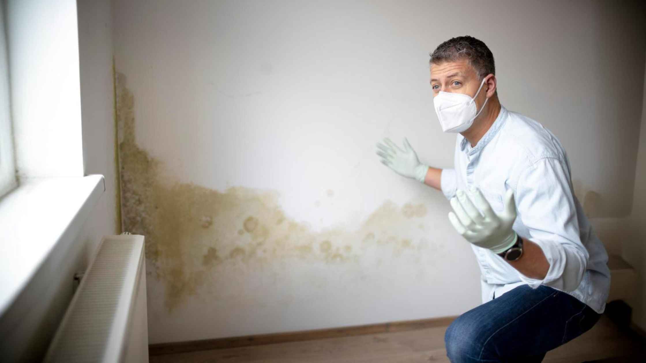 how to get rid of mould in house