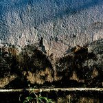5 Signs of Groundwater Seepage & How to Solve Them