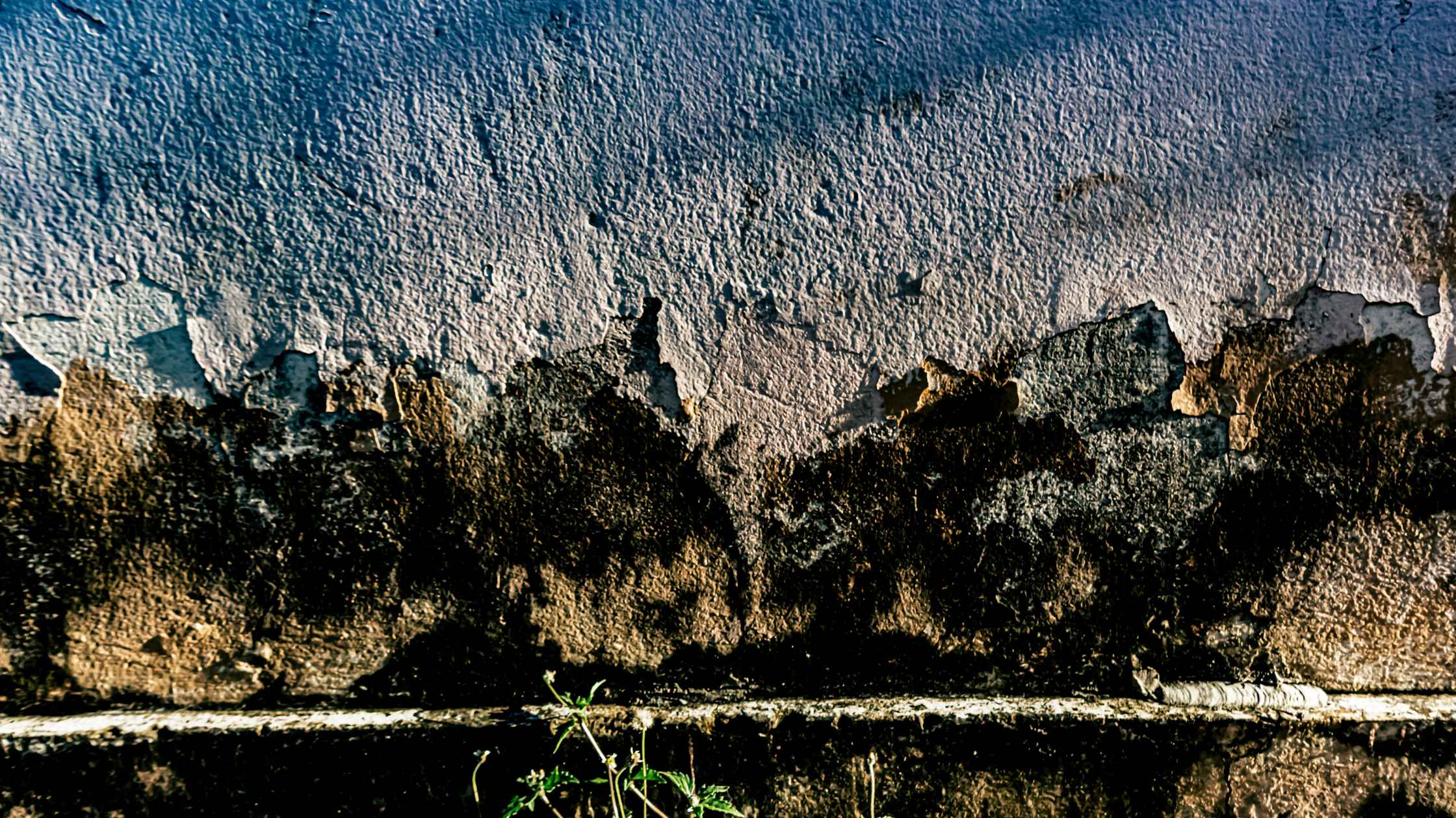 You are currently viewing 5 Signs of Groundwater Seepage & How to Solve Them