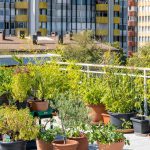 5 Must-See Roof Garden Designs for Luxury Residences