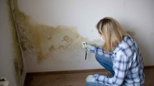 How to treat damp walls internally